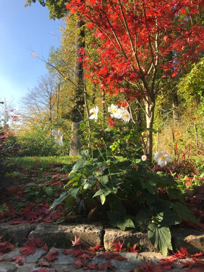 Cosy Lodge Dilbeek Luaran gambar