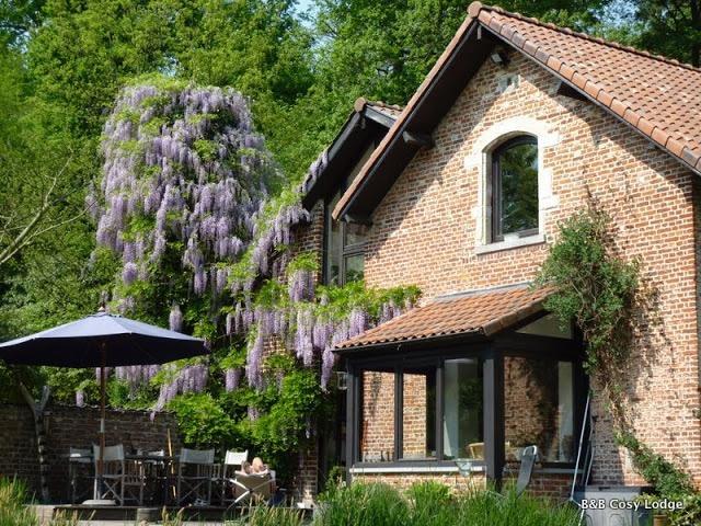 Cosy Lodge Dilbeek Luaran gambar